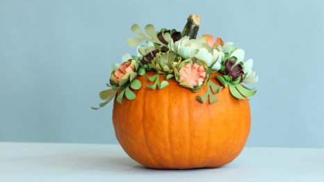 How to Decorate a Pumpkin Without Carving It - Paper Source Blog